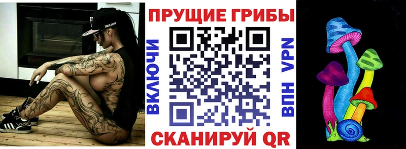 Псилоцибиновые грибы Magic Shrooms  купить закладку  Магас 